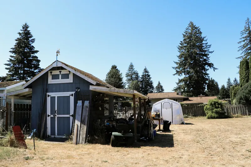 Small blue backyard cottage in a dry yard