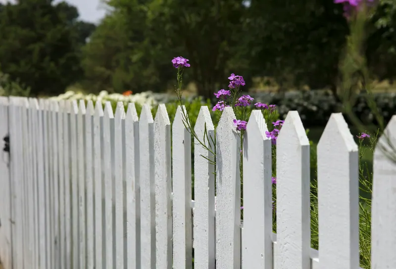 White picket fence with flowers behind it