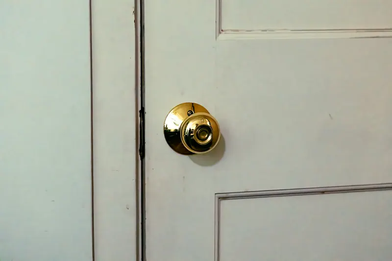Brass door knob on a white paneled door