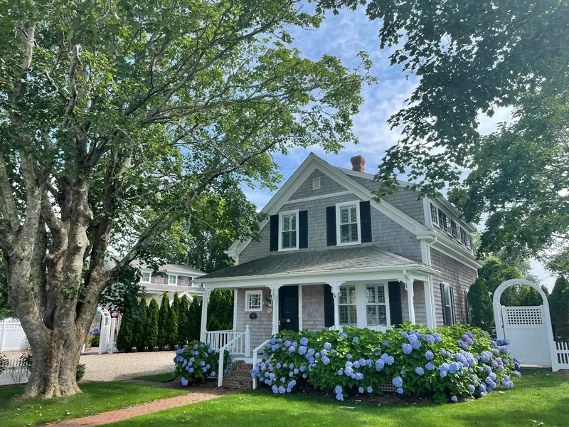 Shingle-sided house with hydrangeas under a large tree